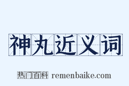 神丸近义词是什么意思的图片